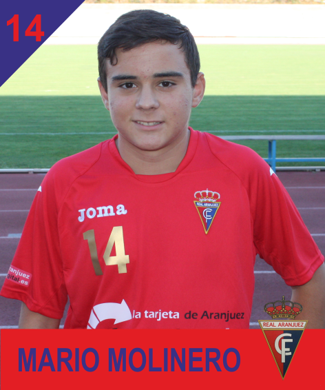 MARIO MOLINERO